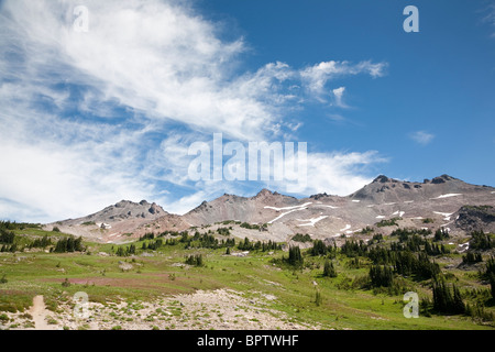 Prato di fiori selvaggi lungo il PCT nelle rocce di capra deserto Gifford Pinchot National Forest - Washington. Foto Stock