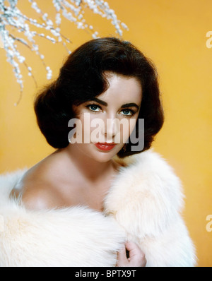 ELIZABETH TAYLOR ATTRICE (1950) Foto Stock