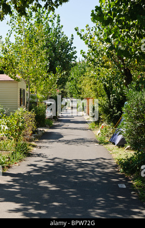 Percorso in un caravan park, Antibes, Francia, rivestiti su entrambi i lati con un sacco di alberi e cespugli Foto Stock