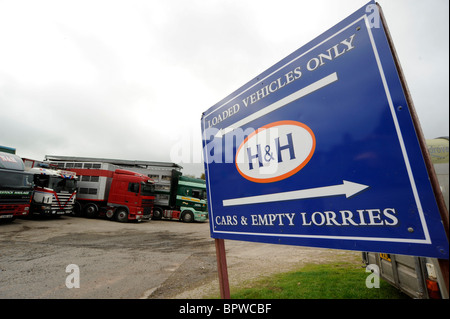 Harrison e Hetherington Lazonby Mart, Cumbria. Una vendita di 19,645 mulo gimmer agnelli. Autocarri per il trasporto del bestiame, trasportatori Foto Stock