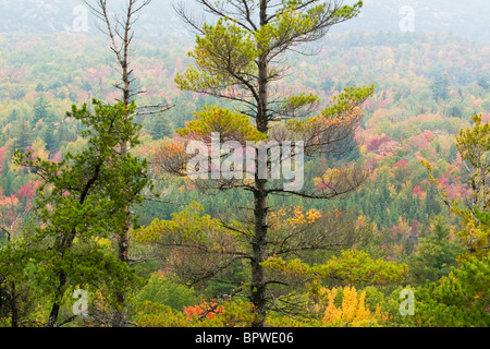 Vista delle colline in Killarney Provincial Park, Ontario, Canada, dalla cresta di granito Trail. Foto Stock