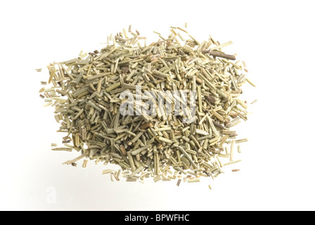 Un mucchio di herb Rosmarino, su uno sfondo bianco. Foto Stock