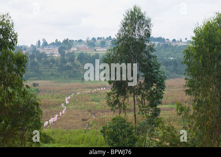 Il Rwanda nelle carceri di memorizzare migliaia di sospetti genocidaires. Foto Stock