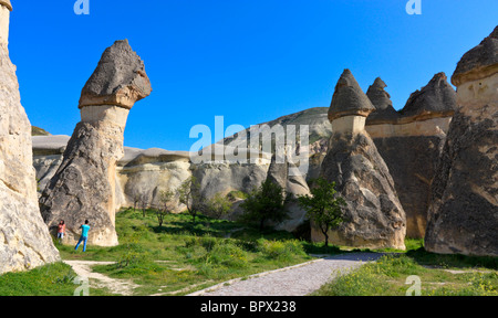 Tufo vulcanico pilastri vicino a Goreme e Uchisar, Cappadocia, Turchia Foto Stock