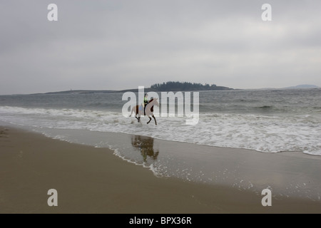 Popham beach, equitazione, Maine Foto Stock