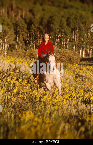 Donna di equitazione, Colorado Foto Stock