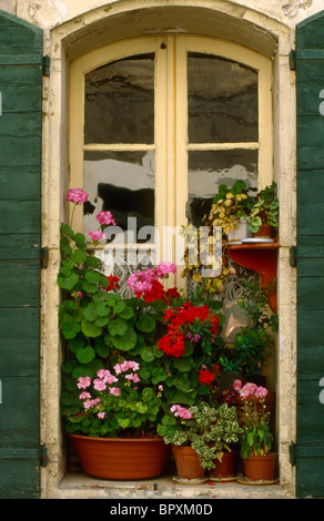 Fiori in vetro di una Francia home. Foto Stock