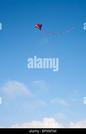 Aquilone vola nel cielo blu Foto Stock