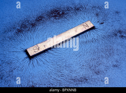 La limatura di ferro mostrano i campi dei poli opposti di un magnete a barra. Nota attrazione tra poli. Foto Stock