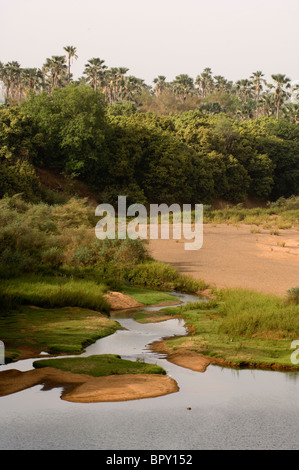 Il fiume Gambia, il Parc National de Niokolo-Koba, Senegal Foto Stock