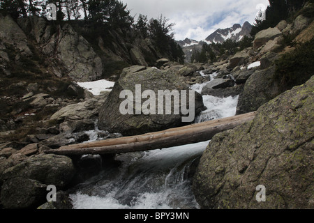 Alta foresta alpina stream ponte di legno picchi di montagna sui Pirenei attraversare Sant Maurici Parco Nazionale Pirenei Spagna Foto Stock