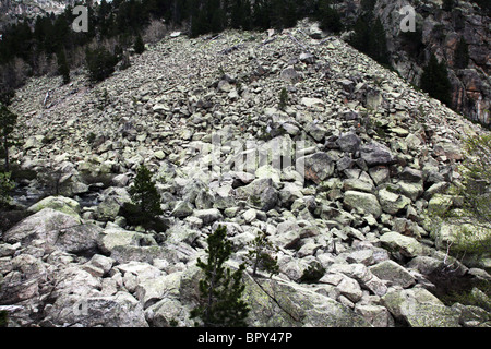 Pesante caduta massi di frana a fianco dei Pirenei via traversa in valle Ratera a Sant Maurici Parco Nazionale Pirenei Spagna Foto Stock