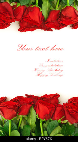 Roses cower Foto Stock