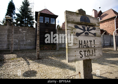 Un segno halt all' interno del perimetro recinzione al campo di concentramento di Auschwitz, Polonia. Foto Stock