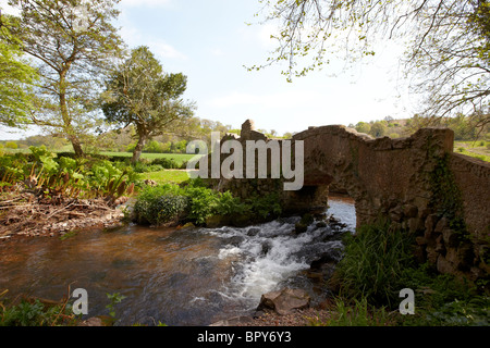 Ponte Gallox Dunster Village Exmoor Somerset REGNO UNITO Europa Foto Stock