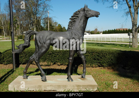 Fattoria Bridlewood facilità di procreazione Tennessee Walking cavalli fibbia a campana, Tennessee Foto Stock