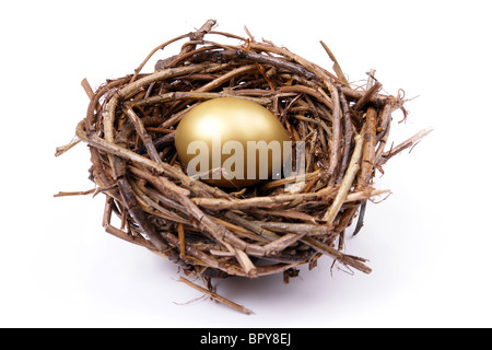 Golden Egg nel nido su sfondo bianco Foto Stock