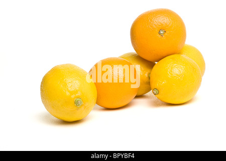 Vibrante di arance e di limoni da basso prospettica isolata contro il bianco. Foto Stock