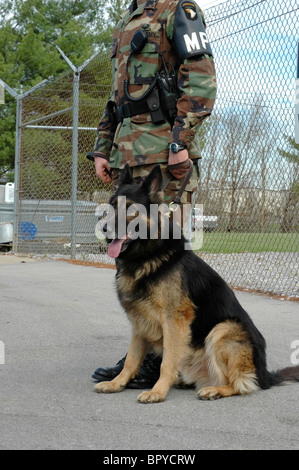 Randy Cottner con il farmaco e attaccare il cane "Brit' a piedi. Campbell Tennessee/Kentucky Foto Stock