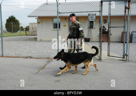 Randy Cottner con il farmaco e attaccare il cane "Brit' a piedi. Campbell Tennessee/Kentucky Foto Stock