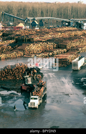 Ordinamento registro yard lungo il fiume Fraser, Vancouver, BC, British Columbia, Canada - Registrazione e industria forestale Foto Stock