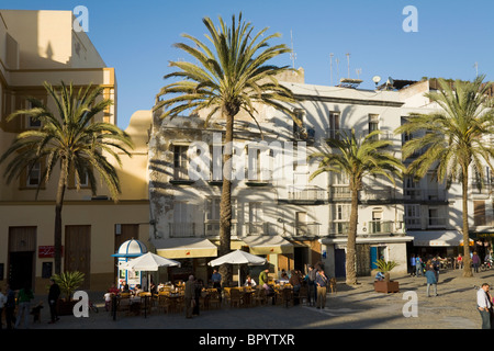 Strada tipica scena di Cadiz, con bianco lavato edifici, alberi di palma e il profondo blu del cielo. Plaza de la Catedral. Cadiz, Spagna. Foto Stock