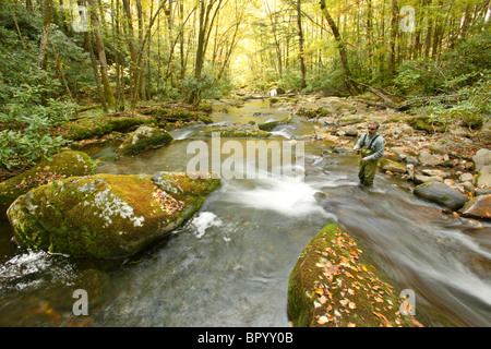 Fly maschio-pescatore sotto i colori dell'Autunno nel parco nazionale di Great Smoky Mountains, NC Foto Stock