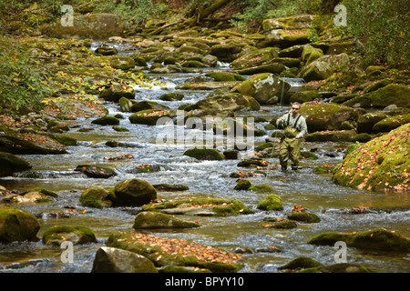 Fly maschio-pescatore sotto i colori dell'Autunno nel parco nazionale di Great Smoky Mountains, NC Foto Stock