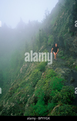 Escursionista maschio sul AppalachianTrail lungo il TN/NC frontiera nel Parco Nazionale di Great Smoky Mountains. Foto Stock