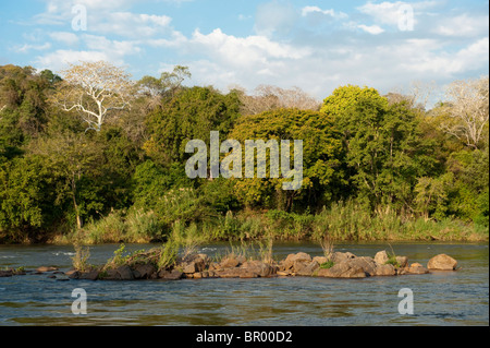 Shire river, Majete riserva faunistica, Malawi Foto Stock