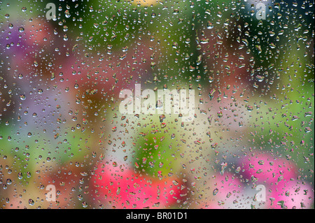Gocce di pioggia su un vetro di finestra di fronte ad un colorato giardino Foto Stock