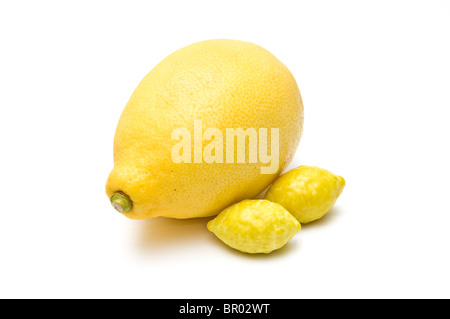 Limone e aromatizzato al limone gomme da masticare isolato su bianco Foto Stock