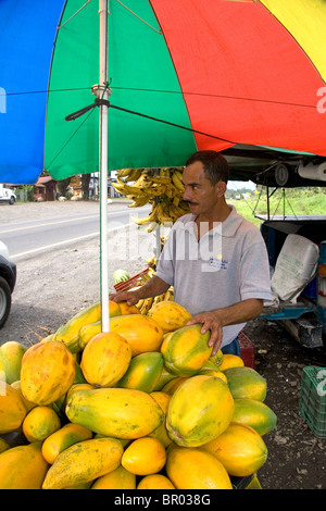 Venditore ambulante vendita di papaie vicino Siquirres, Limon provincia, Costa Rica. Foto Stock