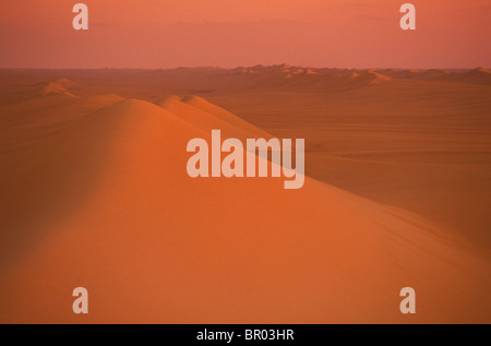 Enormi dune tratto all'orizzonte, Western Desert, Egitto Foto Stock