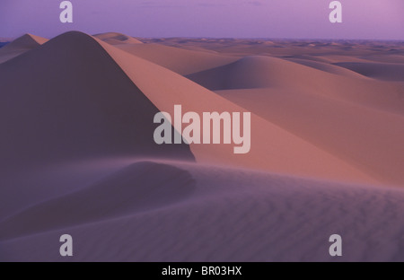 Enormi dune tratto all'orizzonte, Western Desert, Egitto Foto Stock