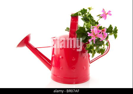 Strumenti di lavoro per il giardino isolato su bianco Foto Stock