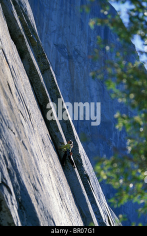 Una femmina di scalatore di arrampicata leader di una grande parete di granito nel Parco Nazionale di Yosemite. Foto Stock