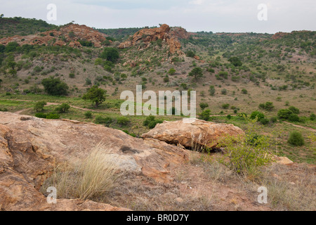 Vista dalla collina di Mapungubwe, Mapungubwe National Park, Sud Africa Foto Stock