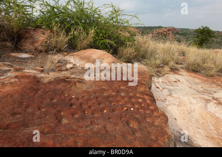 Bao gioco trovato sulla collina di Mapungubwe, sito archeologico, Mapungubwe National Park, Sud Africa Foto Stock