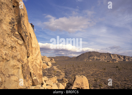 Rocciatore a Joshua Tree National Park. In California, Stati Uniti d'America. Foto Stock