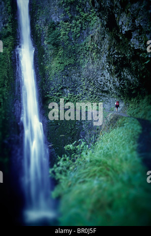 Un maschio backpacker escursioni verso il Tunnel caduta lungo la Eagle Creek Trail, o. Foto Stock