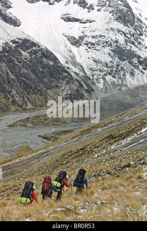 Nuova Zelanda Isola del Sud Arrowsmith gamma. Foto Stock