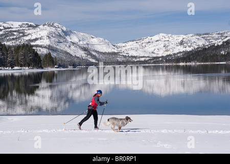 Una donna e cane sciare sulla riva del lago Donner in inverno vicino Truckee, California. Foto Stock