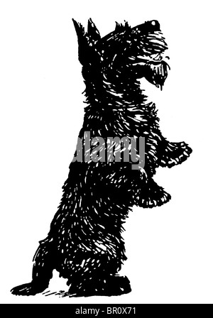 Una versione in bianco e nero di un nero Scottish Terrier in piedi sulle zampe posteriori Foto Stock