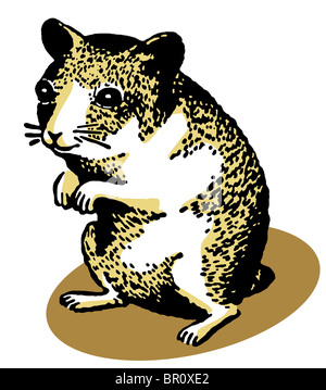 Una illustrazione di un criceto in piedi sulle zampe posteriori Foto Stock