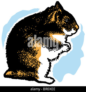 Una illustrazione di un criceto in piedi sulle zampe posteriori Foto Stock