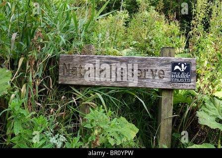 Chee dale Derbyshire England Regno Unito Foto Stock
