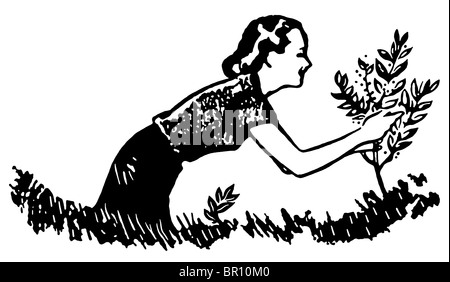 Una versione in bianco e nero di una donna tendendo un piccolo albero Foto Stock