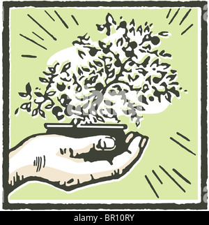 Una stampa di una mano che regge un albero di bonsai Foto Stock