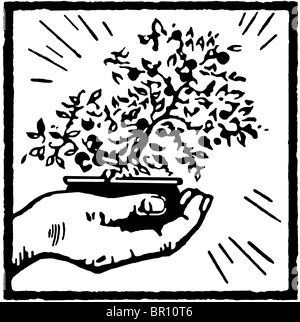 Una versione in bianco e nero di una stampa di una mano che regge un albero di bonsai Foto Stock